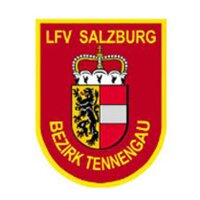 SALZBURG - LFV - Bezirk (Stickapplikation Wappen - LINKER...